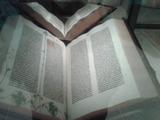 2012-05-02 10.11.54.jpg
